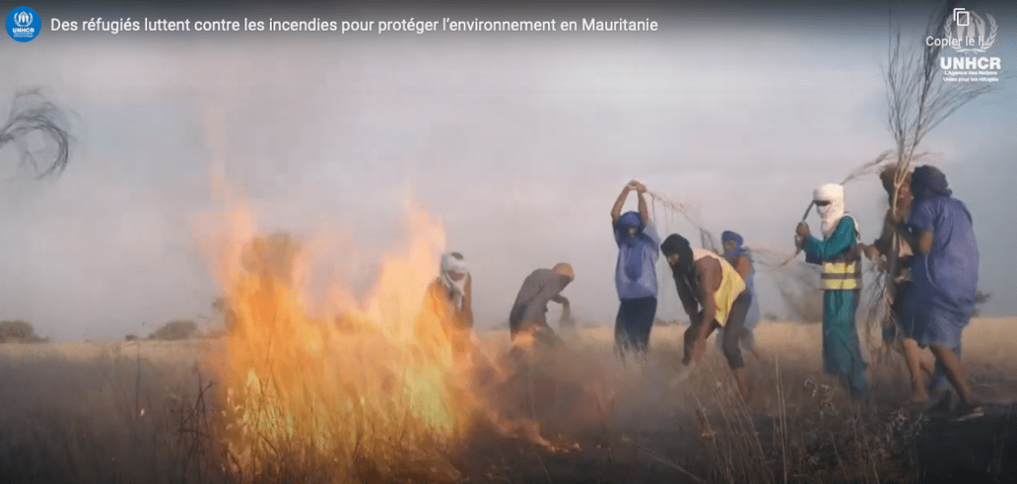 Vidéo &nbsp;&raquo; Des réfugiés luttent contre les incendies pour protéger l&rsquo;environnement en Mauritanie&nbsp;&raquo;
