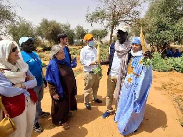 Témoignage de l&rsquo;association &laquo;&nbsp;La jeunesse du Camp de M&rsquo;bera&nbsp;&raquo;