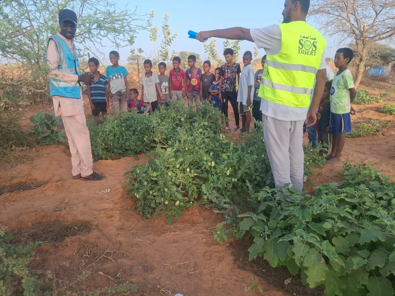 Dans le cadre de la promotion de l’éducation environnementale et de l’engagement communautaire en faveur du développement durable, un consortium d’associations composé de SOS Nomade, de la Brigade Anti Feu et de ARPEV a organisé ce vendredi 13 Mars 2026 une activité de sensibilisation destinée aux enfants autour de la protection de l’environnement.